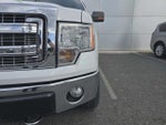 2013 F-150 Thumbnail 10