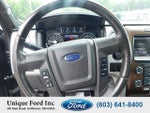 2013 F-150 Thumbnail 14