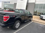 2014 F-150 Thumbnail 5