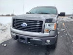 2014 F-150 Thumbnail 2