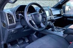 2017 F-150 Thumbnail 2