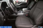 2018 F-150 Thumbnail 15
