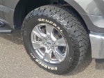 2015 F-150 Thumbnail 8