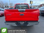 2015 F-150 Thumbnail 10