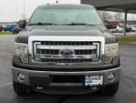 2013 F-150 Thumbnail 10