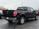 2013 F-150 Thumbnail 3