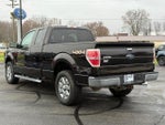 2013 F-150 Thumbnail 5
