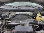 2014 F-150 Thumbnail 29
