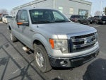 2014 F-150 Thumbnail 3