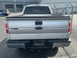 2014 F-150 Thumbnail 5