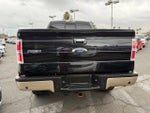 2014 F-150 Thumbnail 4