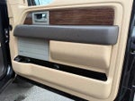 2014 F-150 Thumbnail 14