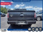 2012 F-150 Thumbnail 3