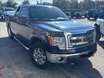 2014 F-150 Thumbnail 1