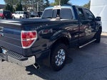 2014 F-150 Thumbnail 3