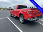 2013 F-150 Thumbnail 5
