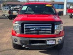 2011 F-150 Thumbnail 8