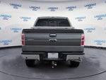 2014 F-150 Thumbnail 8