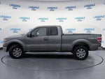 2014 F-150 Thumbnail 10