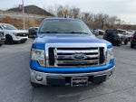 2010 F-150 Thumbnail 2