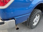 2010 F-150 Thumbnail 7
