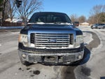 2010 F-150 Thumbnail 2