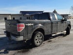 2010 F-150 Thumbnail 7