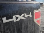 2010 F-150 Thumbnail 14
