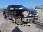 2010 F-150 Thumbnail 21