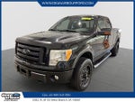 2010 F-150 Thumbnail 1