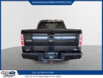 2010 F-150 Thumbnail 3