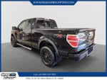 2010 F-150 Thumbnail 4