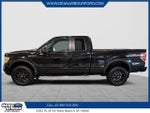 2010 F-150 Thumbnail 5