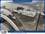 2010 F-150 Thumbnail 6