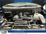2010 F-150 Thumbnail 8