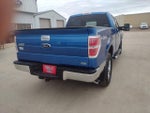 2010 F-150 Thumbnail 5