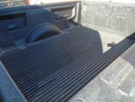2010 F-150 Thumbnail 3