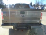 2010 F-150 Thumbnail 5