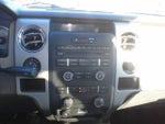 2010 F-150 Thumbnail 14