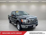 2010 F-150 Thumbnail 3
