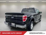 2010 F-150 Thumbnail 5