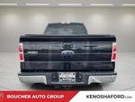 2010 F-150 Thumbnail 6