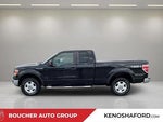 2010 F-150 Thumbnail 8