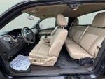 2010 F-150 Thumbnail 19