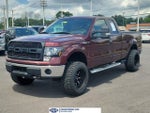 2010 F-150 Thumbnail 1