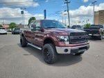 2010 F-150 Thumbnail 7