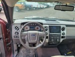 2010 F-150 Thumbnail 11