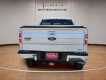 2010 F-150 Thumbnail 6
