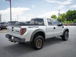 2013 F-150 Thumbnail 1