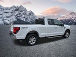 2024 F-150 Thumbnail 6